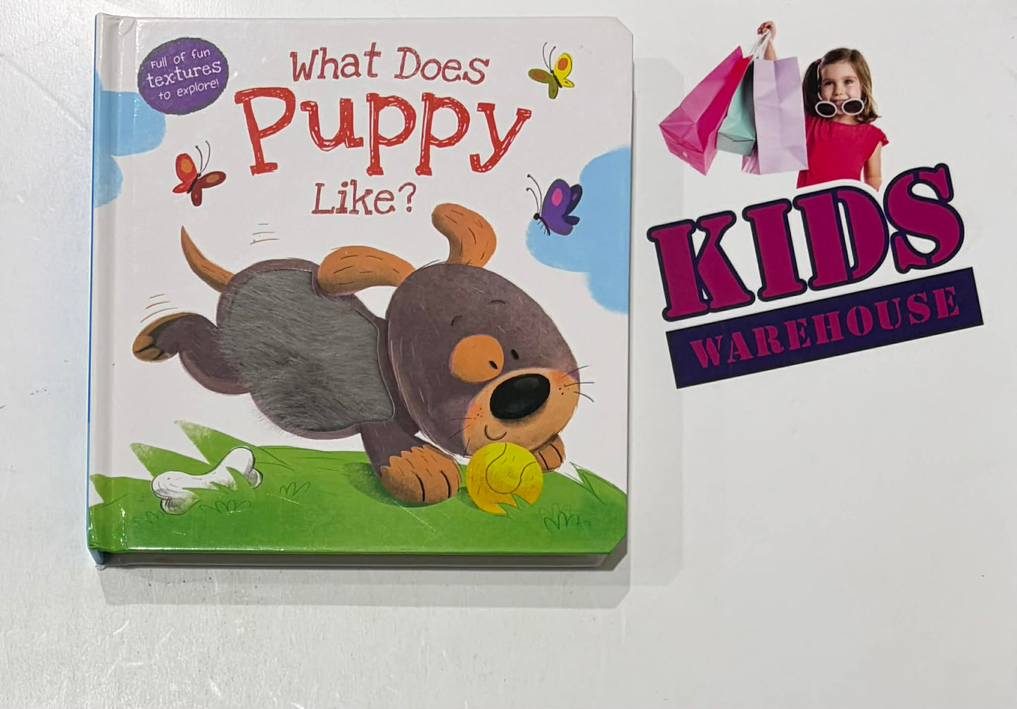 What Does Puppy Like? A Textured Autumn Book (Boardbook)