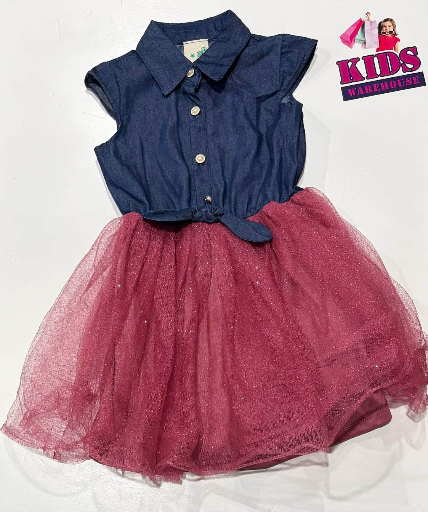 Lily Bleu Blue & Pink Tutu Dress Size 5