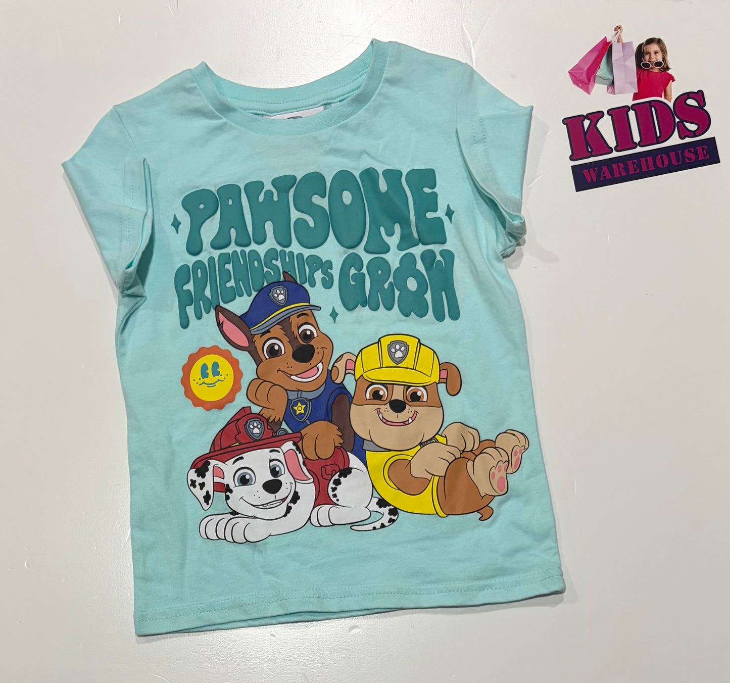 Nickelodeon Paw Patrol Light Blue, Pawsome Friendships Grow Print Top Size 2