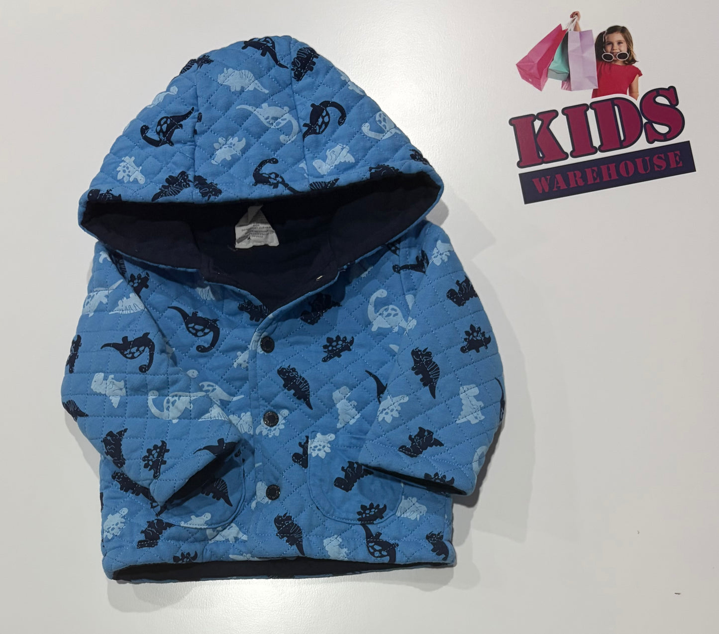 Sprout Blue, Dinosaur Print Hoodie Size 00