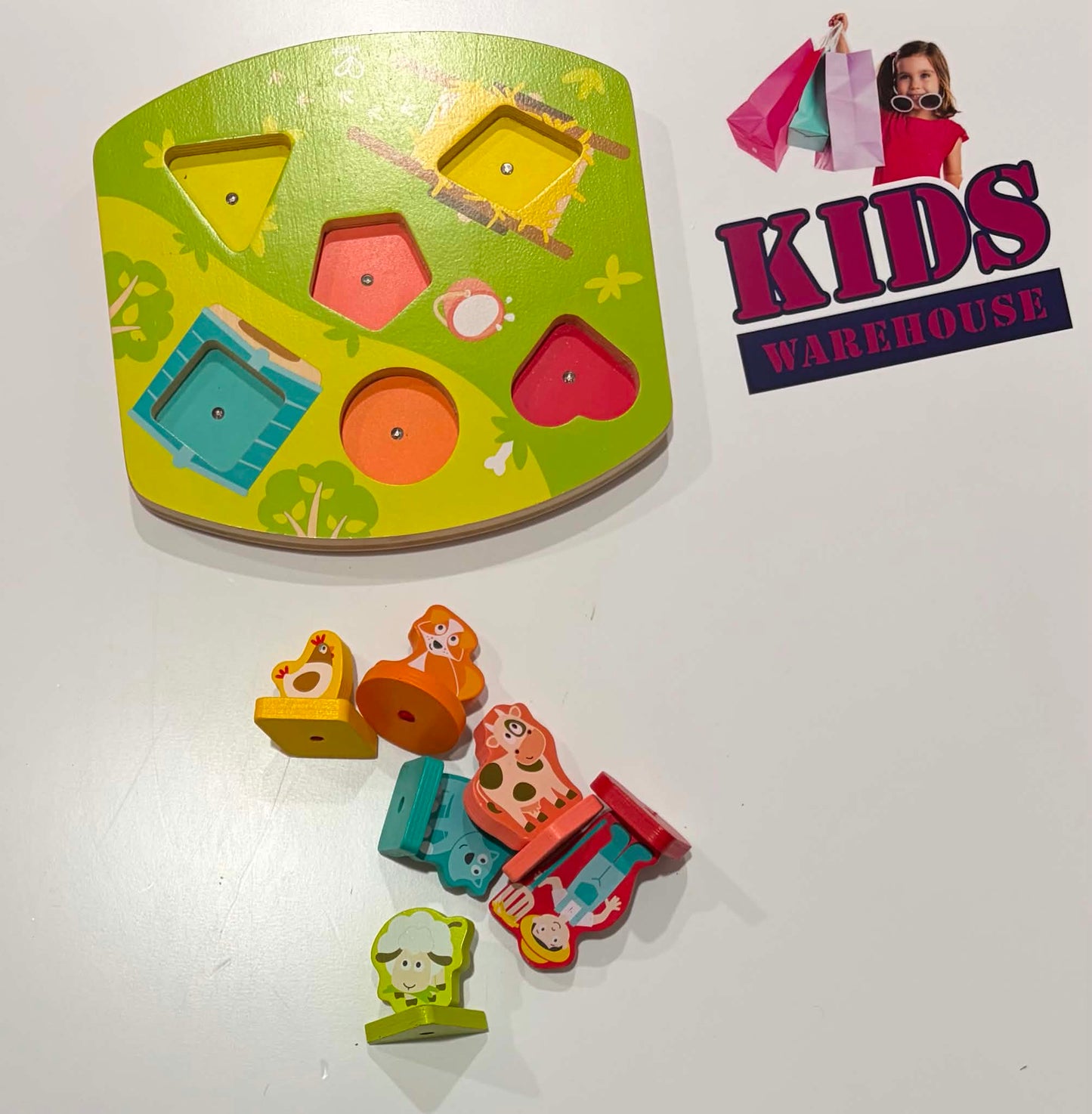Wooden Shape Matching Puzzle Toy
