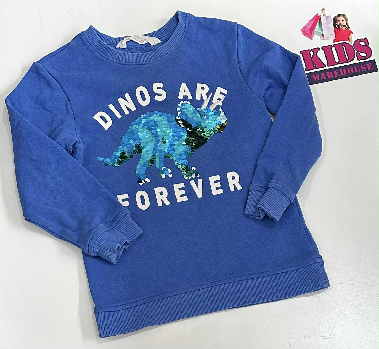 H&M Blue Long Sleeve Top With Dinosaur Print Size 5
