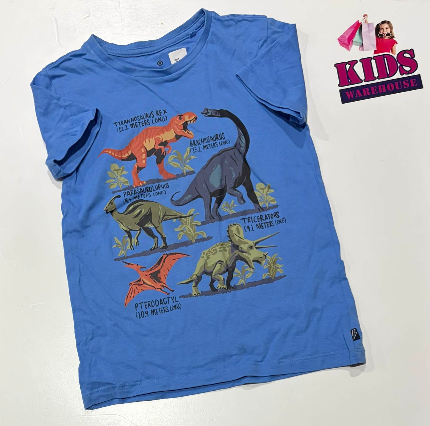 Target Blue Top With Dinosaur Pattern Size 7