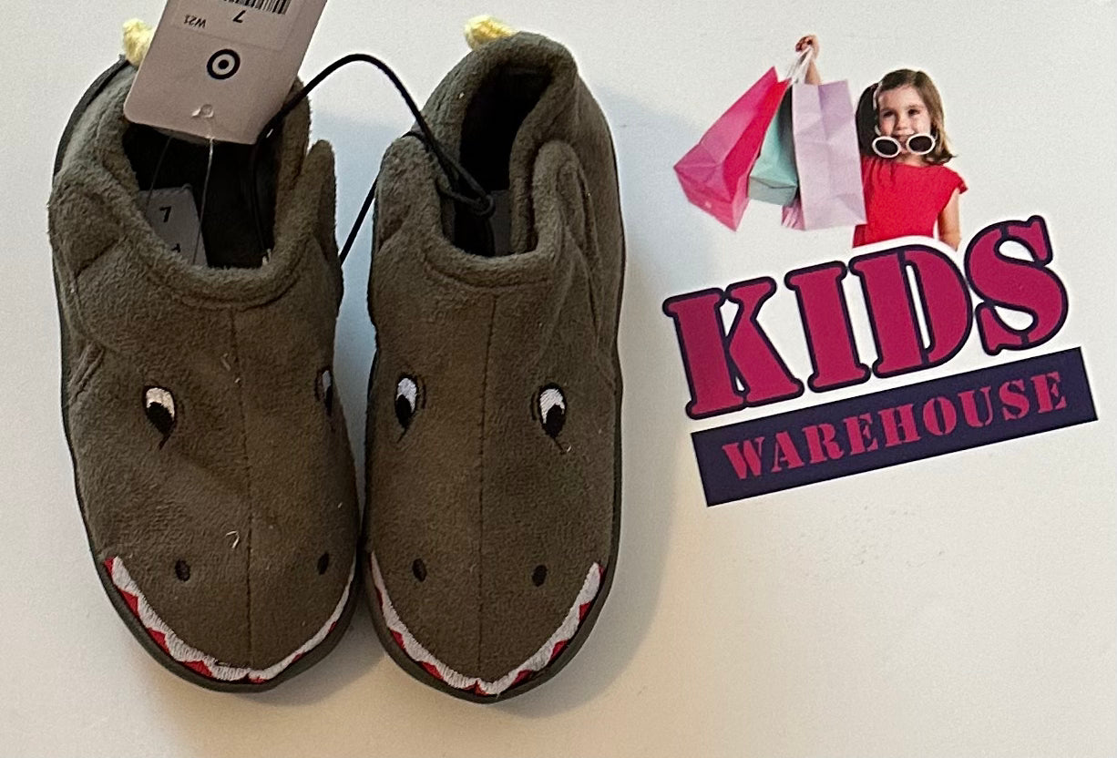 Little boy 2025 dinosaur slippers