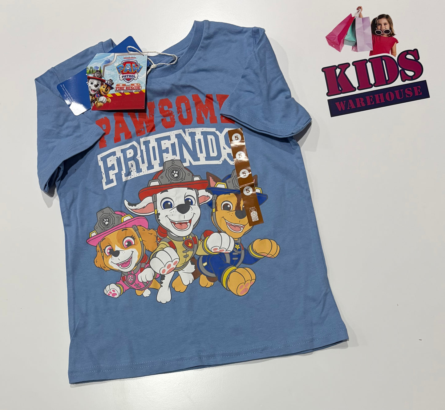 Not Used Nickelodeon Paw Patrol Blue Pawsome Friends Size 5