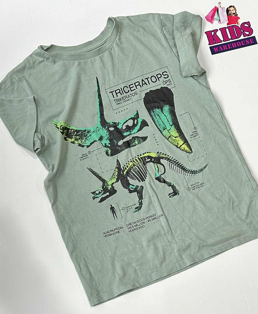 Green Top With Dinosaur Print Size 10