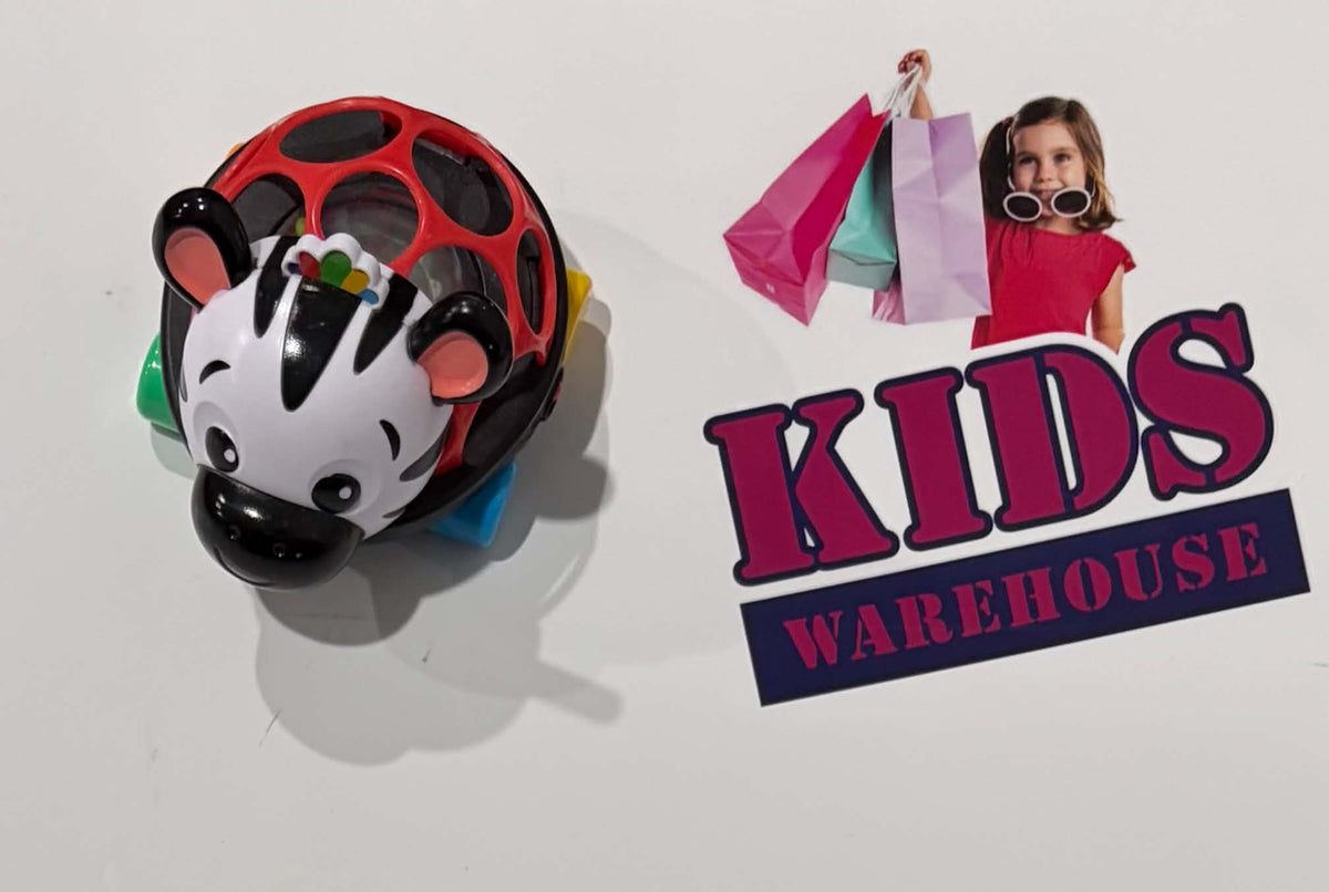 Light Up Push Along Zebra Toy