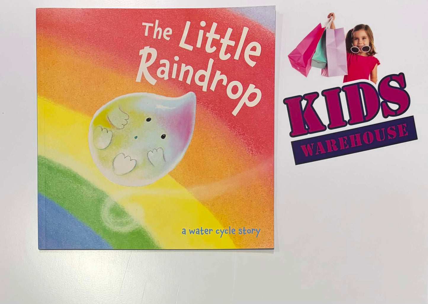 The Little Raindrop, A Water Cycle Story - Joanna Gray, Dubravka Kolanovic