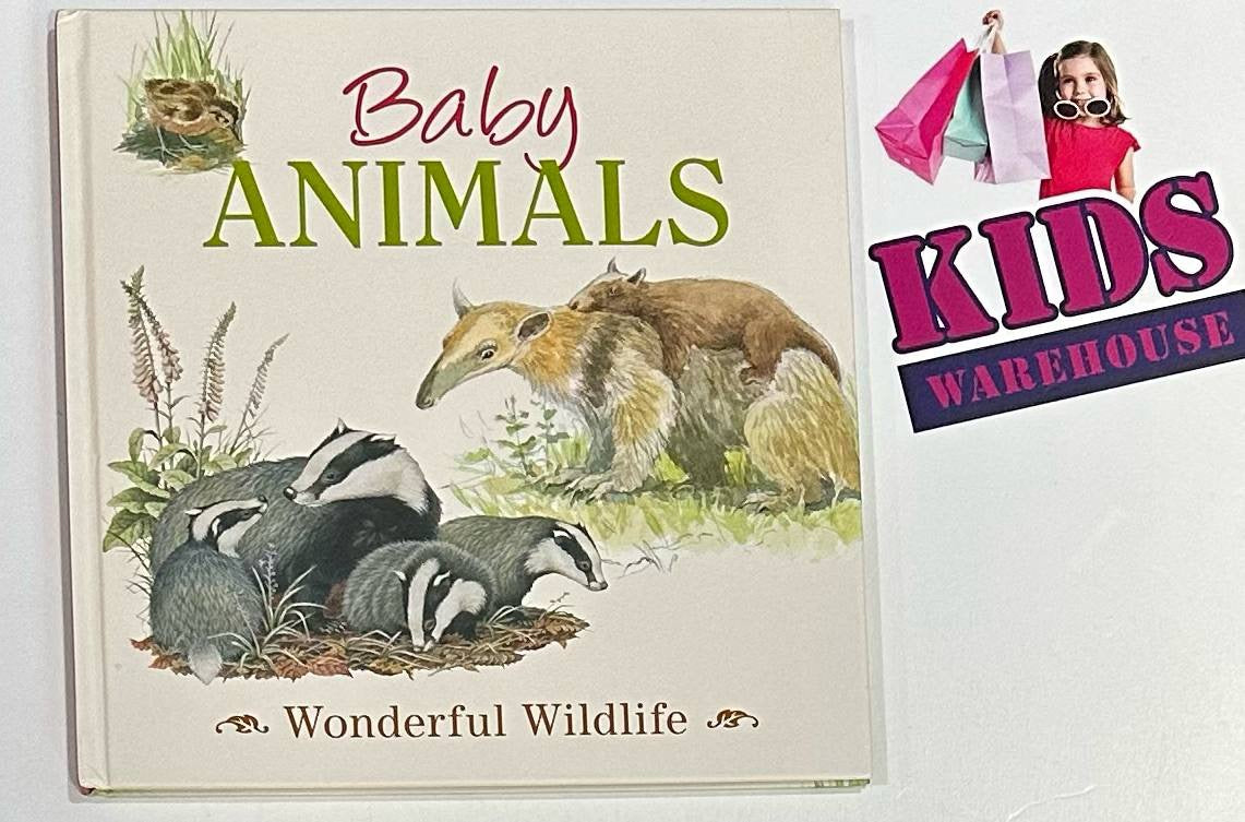 Baby Animals Wonderful Wildlife (Hard Cover)