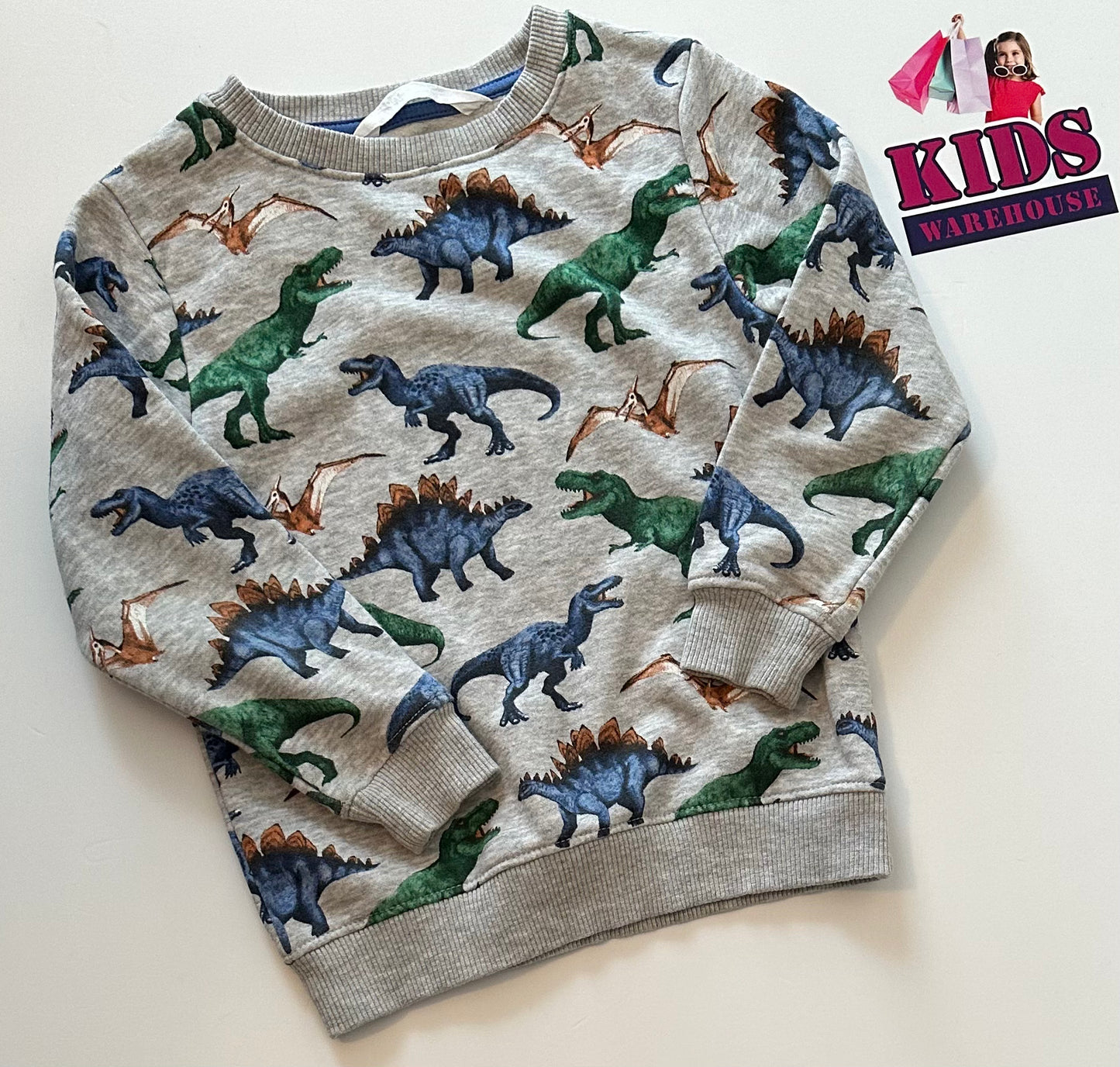 H&m dinosaur outlet jumper